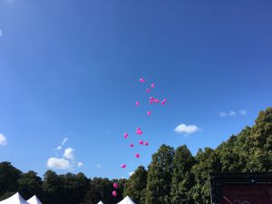 Pinkfarbene Luftballons steigen in den blauen Hamburger Himmel
